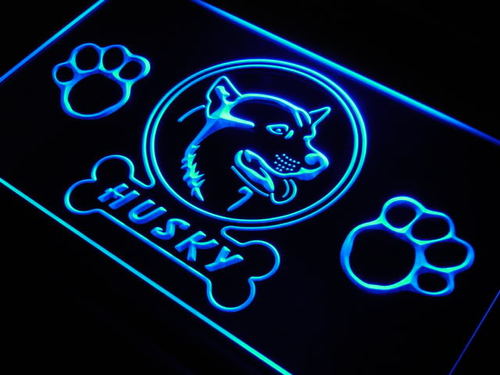 Husky Dog Shop Neon Light Sign